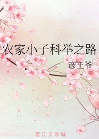 農家小子科舉之路