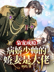 枭宠成瘾:病娇少帅的娇妻是大佬